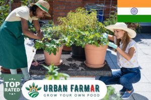 Read more about the article Why Urban Farmar Stands Out Among 100 Gardening Competitors in India