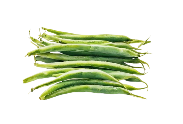 French Beans (Dwarf / Bush Type) (फ्रेंच बीन्स के बीज)